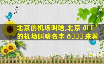 北京的机场叫啥,北京 🌳 的机场叫啥名字 🍀 来着